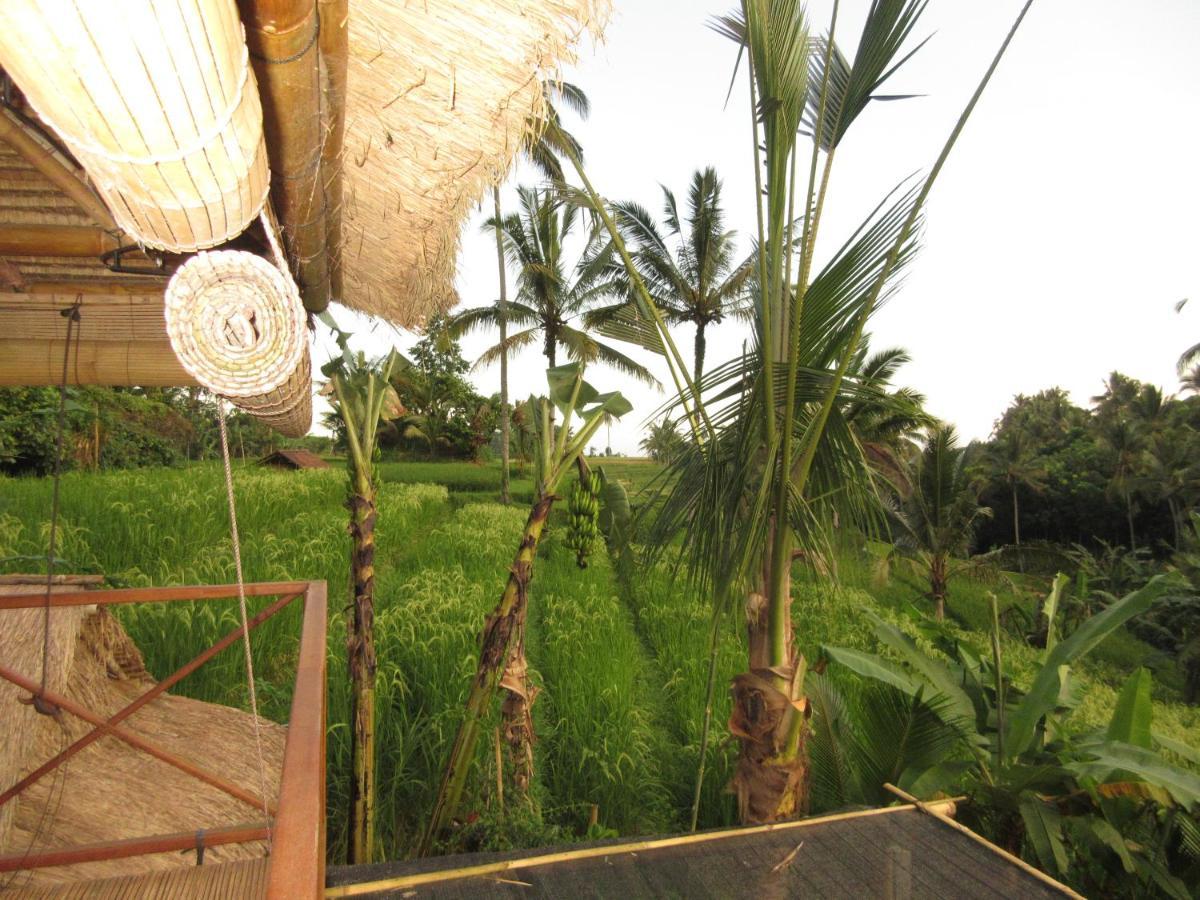 Babahan Farmstay Selemadeg Exterior foto